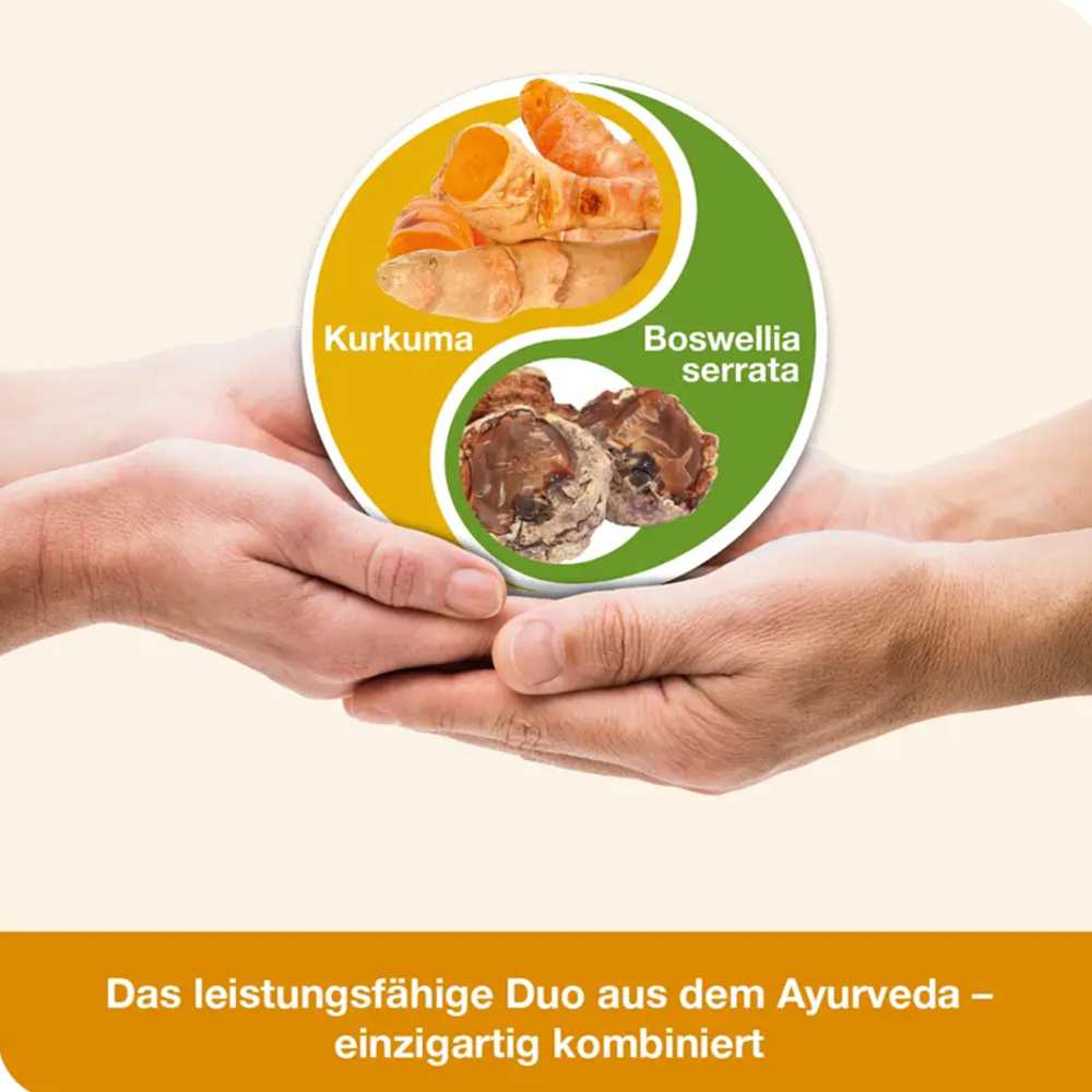 Bioavailable Curcumin + Boswellic Acids | 60 Capsules | Dr. Loges thumbnail 2